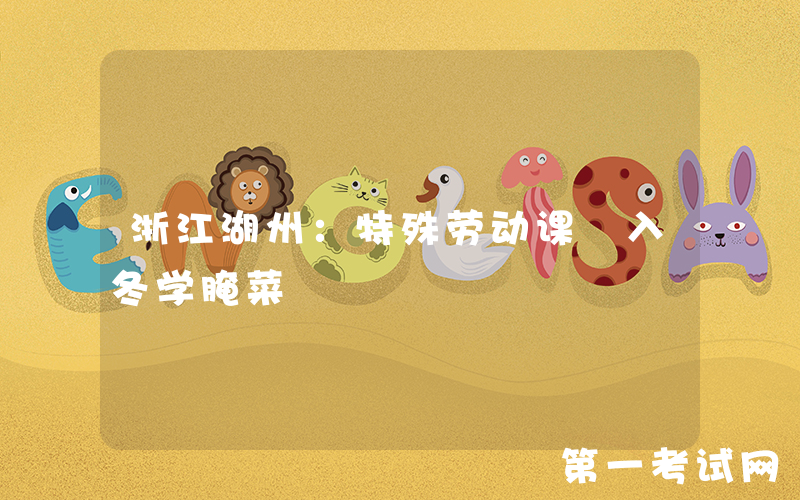 浙江湖州：特殊劳动课 入冬学腌菜