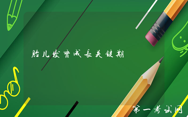 胎儿发育成长关键期