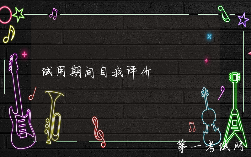 试用期间自我评价