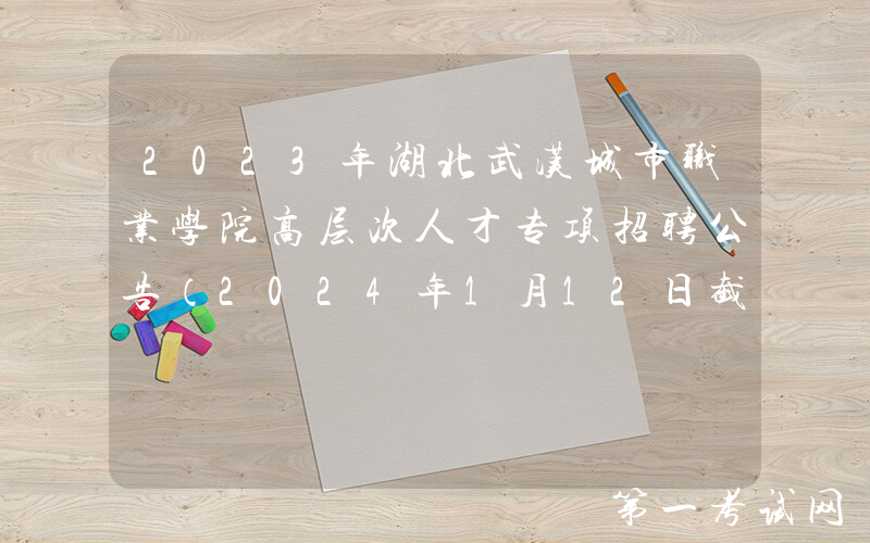 2023年湖北武汉城市职业学院高层次人才专项招聘公告（2024年1月12日截止报名）