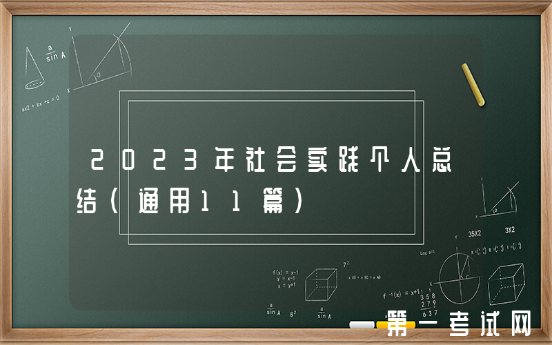 2023年社会实践个人总结（通用11篇）