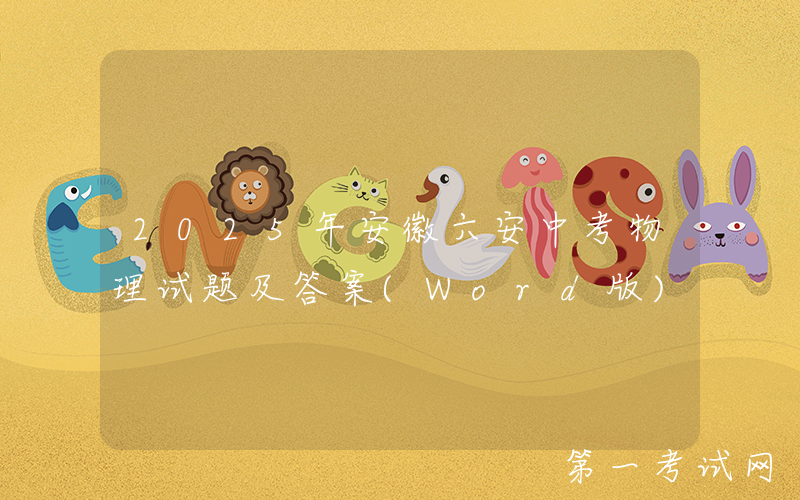 2025年安徽六安中考物理试题及答案(Word版)
